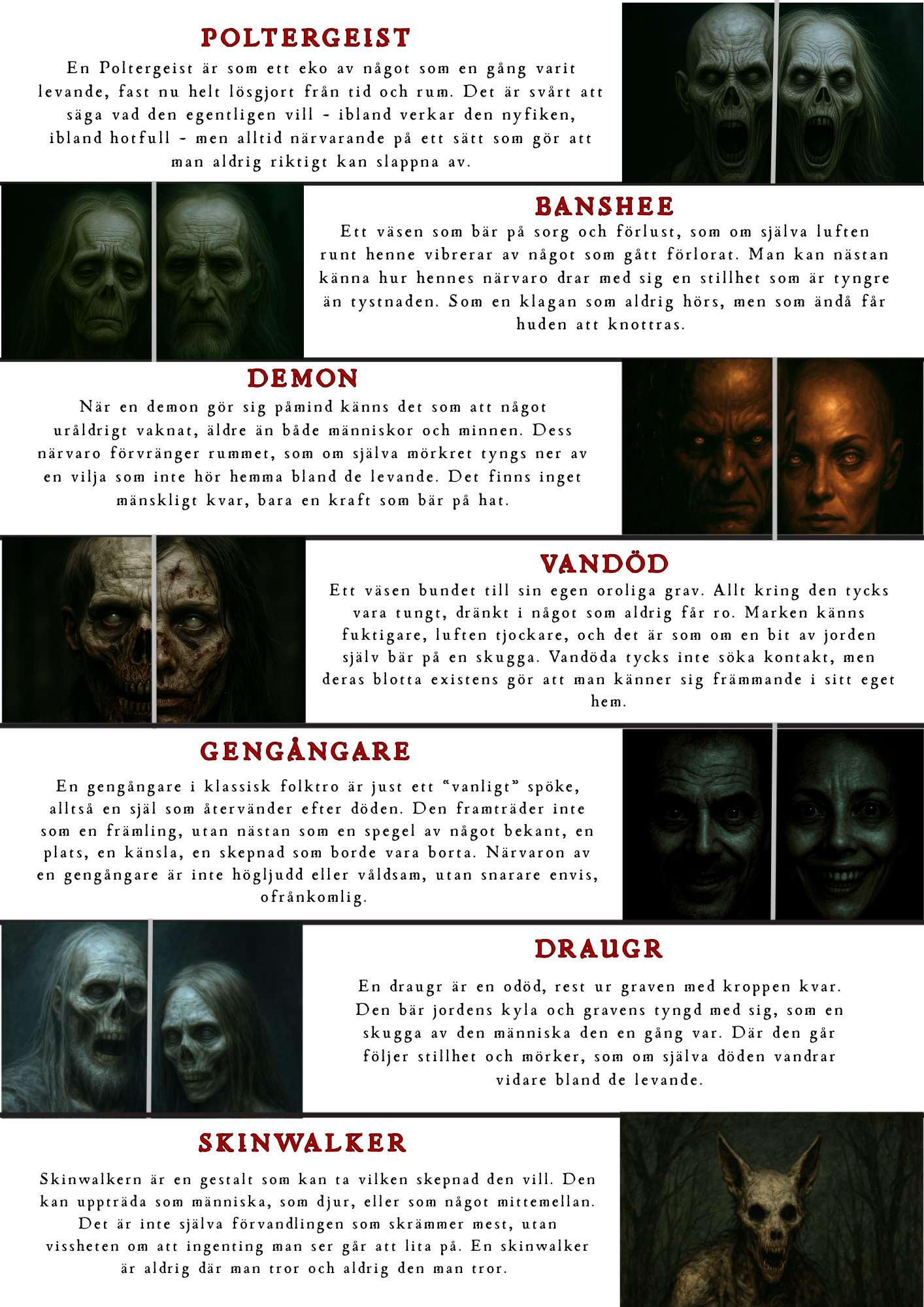 DOCKAN PÅ VINDEN - Paranormal Utredning - [Vilken Entitet?]
